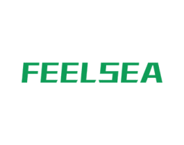 FEELSEA