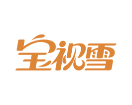 宝视雪