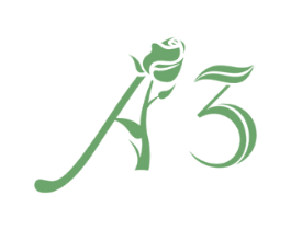A3