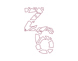 Z6