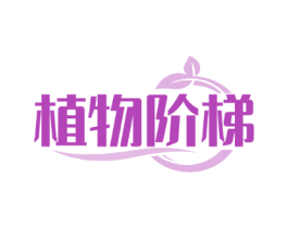 植物阶梯