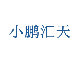 小鹏汇天