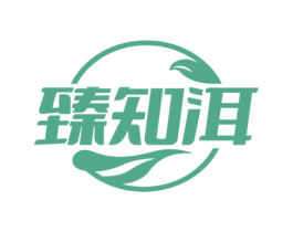 臻知洱