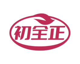 初全正