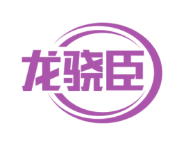 龙骁臣