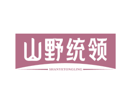 山野统领