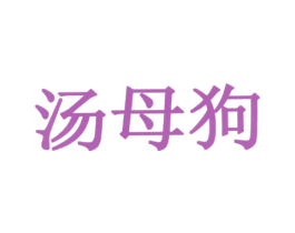 汤母狗