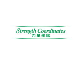 STRENGTH COORDINATES 力量坐标