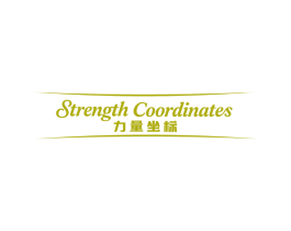 STRENGTH COORDINATES 力量坐标