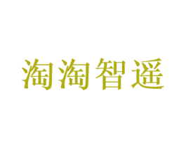 淘淘智遥