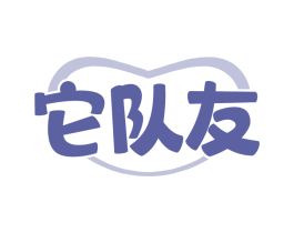它队友